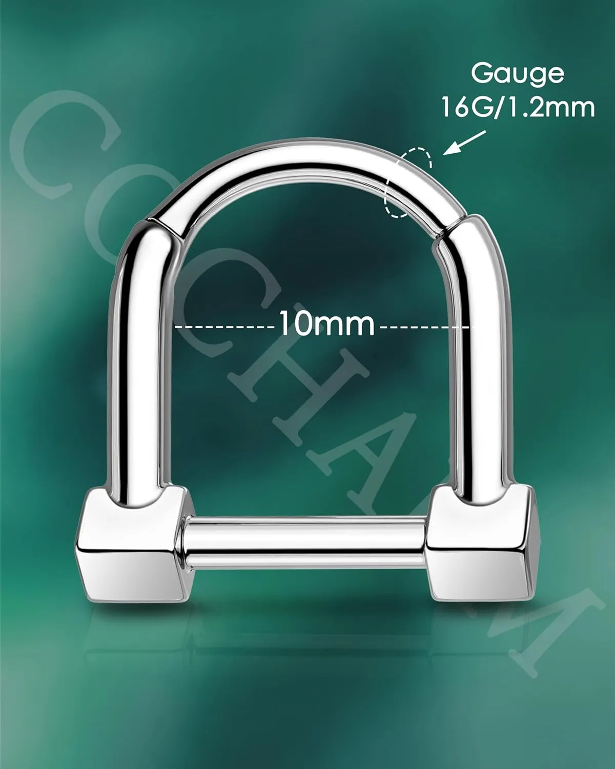 COCHARM Hinged Latch Septum Rings 16G Septum Nose Rings Stainless Steel Daith Rook Earrings for Women Men Daith Rook Piercing Jewelry