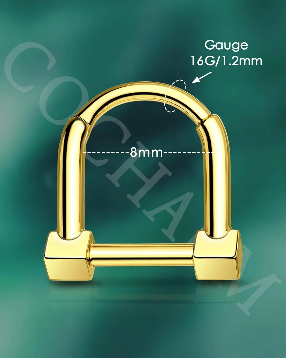 COCHARM Hinged Latch Septum Rings 16G Septum Nose Rings Stainless Steel Daith Rook Earrings for Women Men Daith Rook Piercing Jewelry