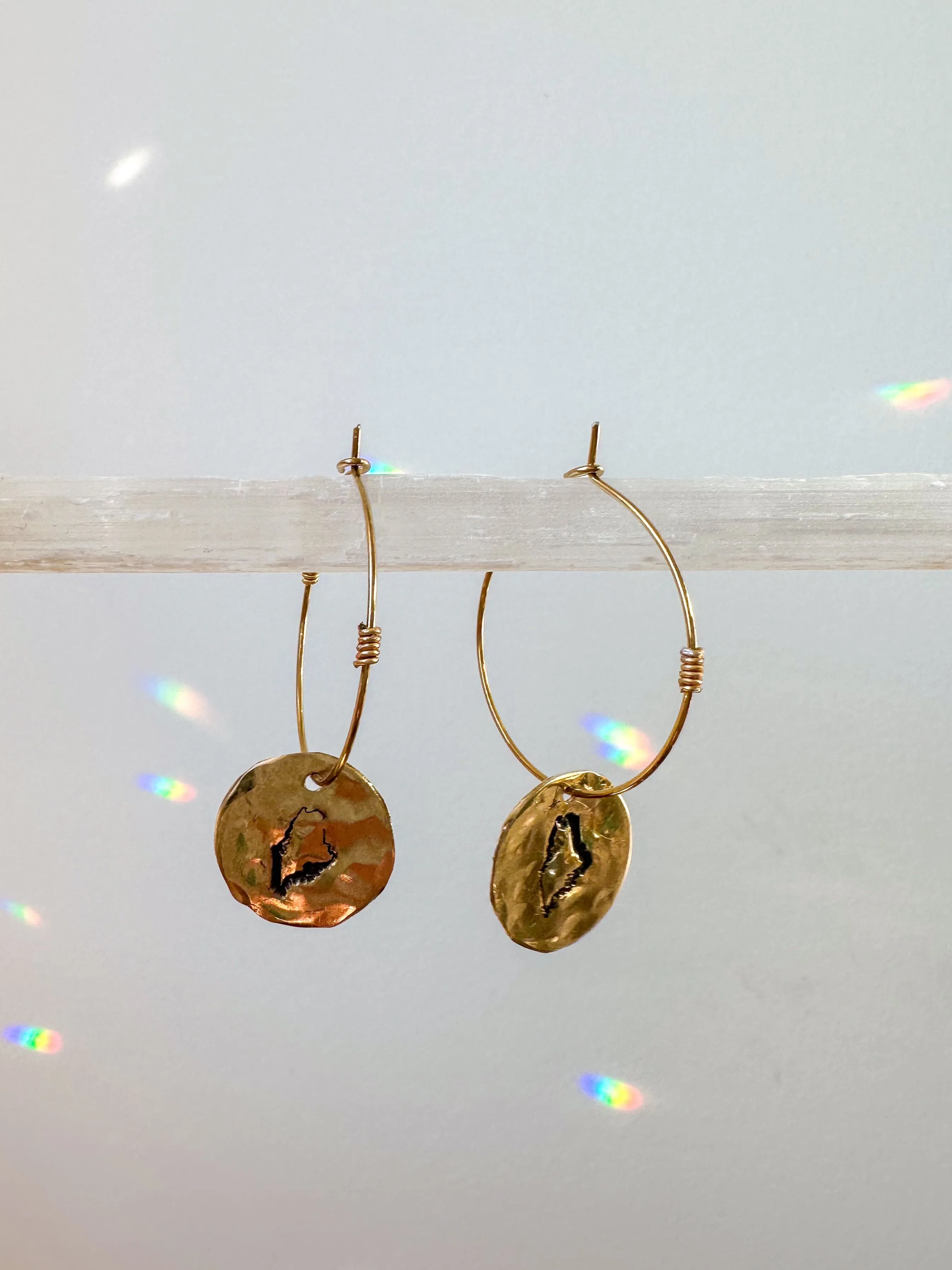 Hammered State Earring